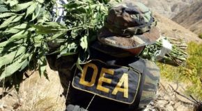 DEA Denies Governors’ Petitions To Reclassify Marijuana For Medical Use